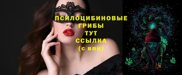прущий лед Бикин